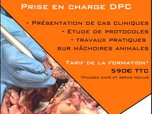 Formation DPC laser en parodontologie / implantologie / prothèse - 22 Mai 2026 - SIX FOURS LES PLAGES