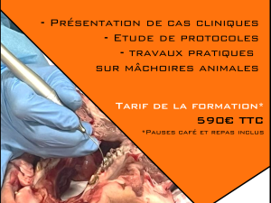 Formation laser en parodontologie / implantologie / prothèse - 22 Mai 2026 - SIX FOURS LES PLAGES